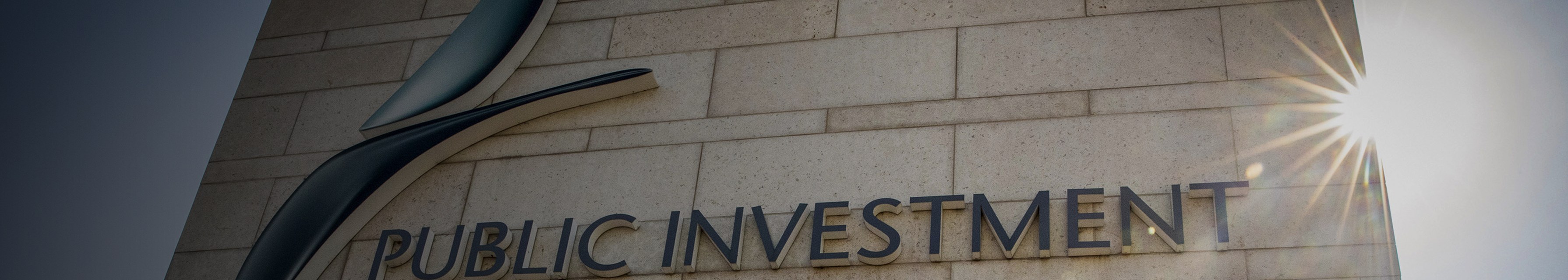 Pace Online case study — Public Investment Corporation